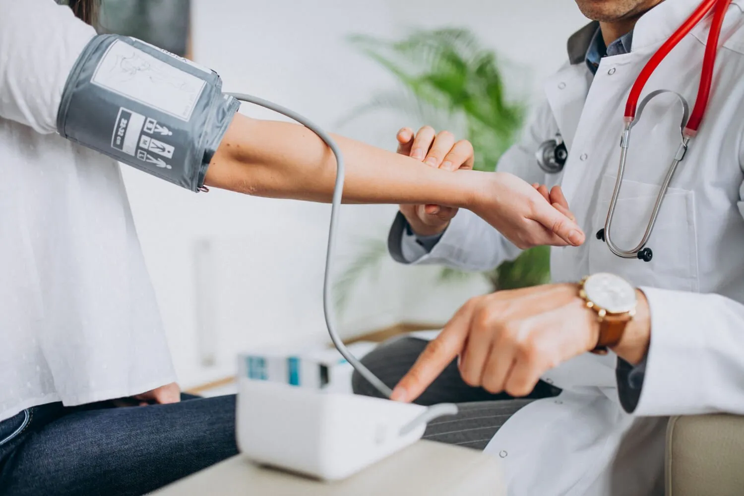 Îți dorești să activezi pe cont propriu în domeniul cardiologiei? Top 5 instrumente de bază care nu trebuie să-ți lipsească