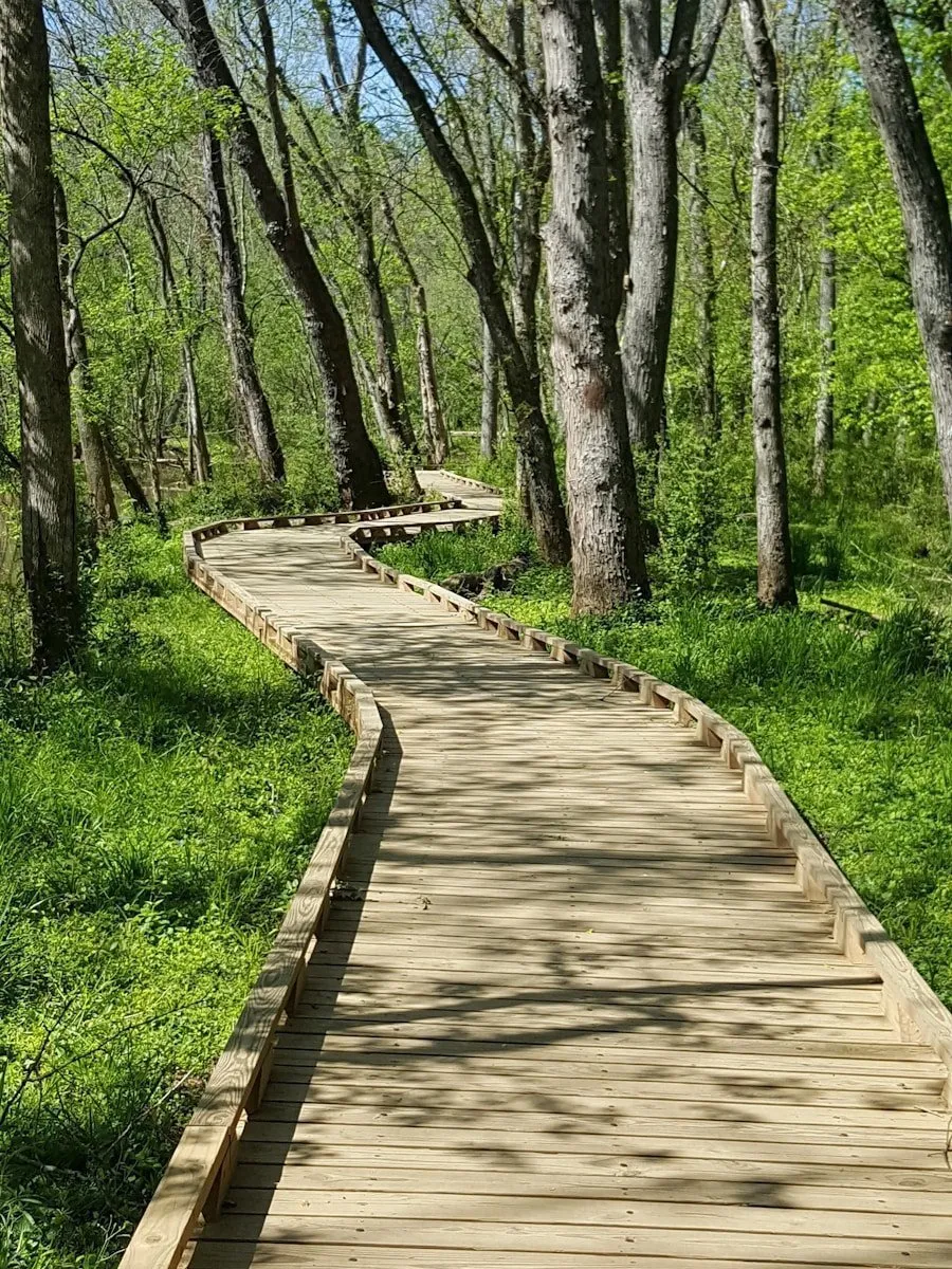 Photo "Practical guide for reducing stress through nature walks and light exercises"