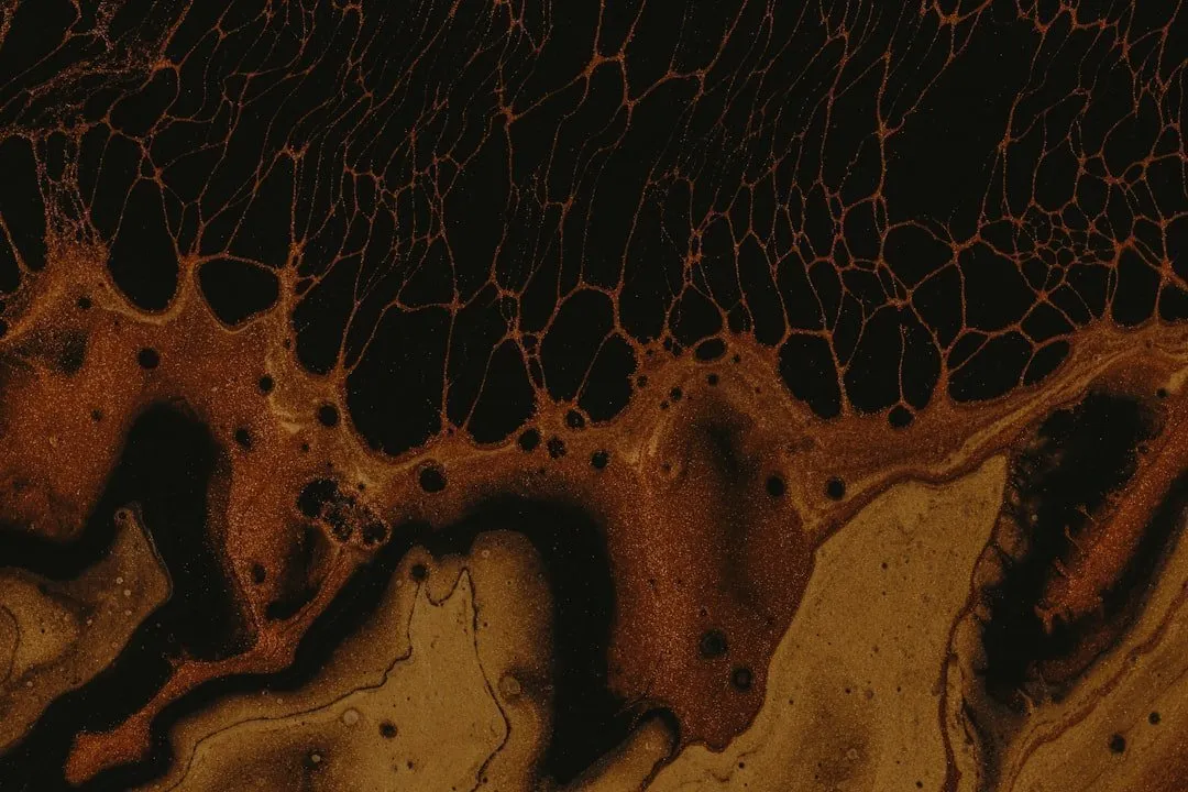 Photo Cancerul colorectal
