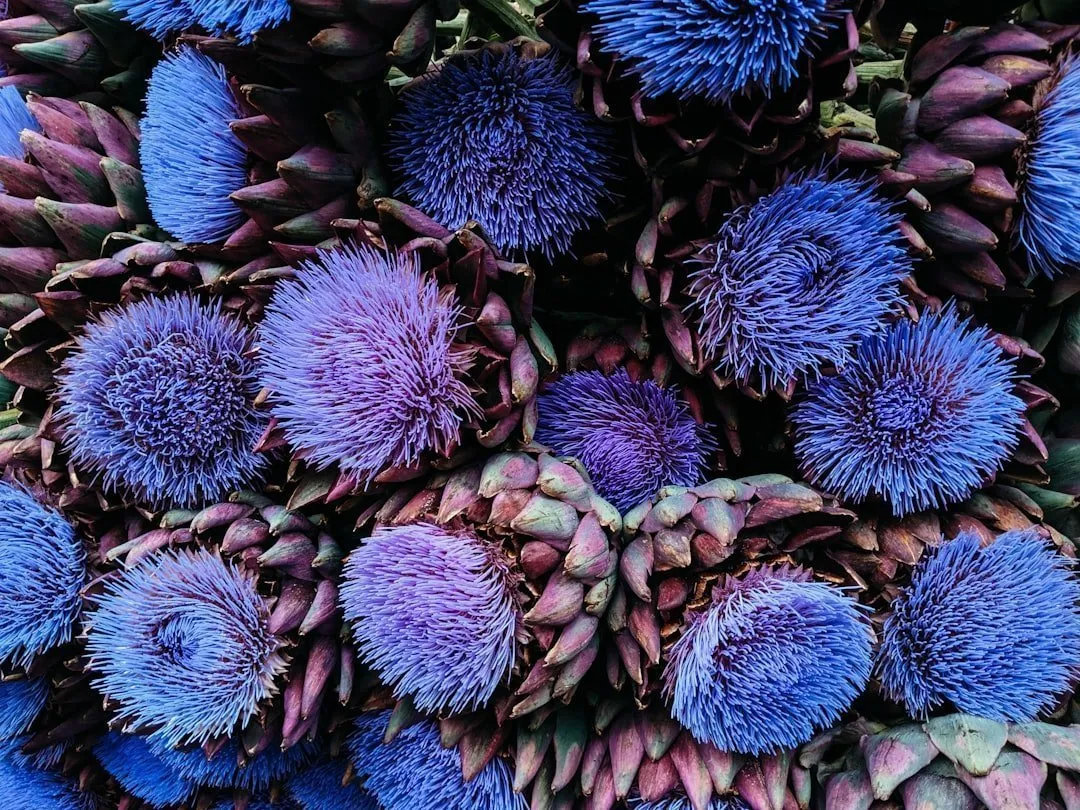 Photo Pancreatic Cancer Symptoms