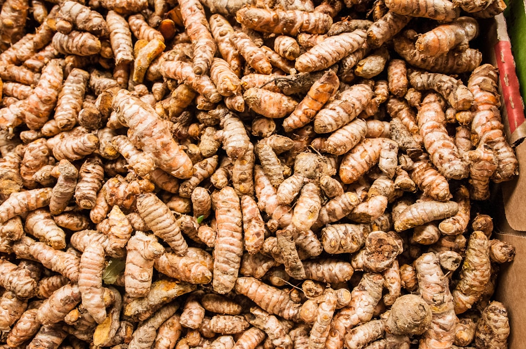 Photo turmeric