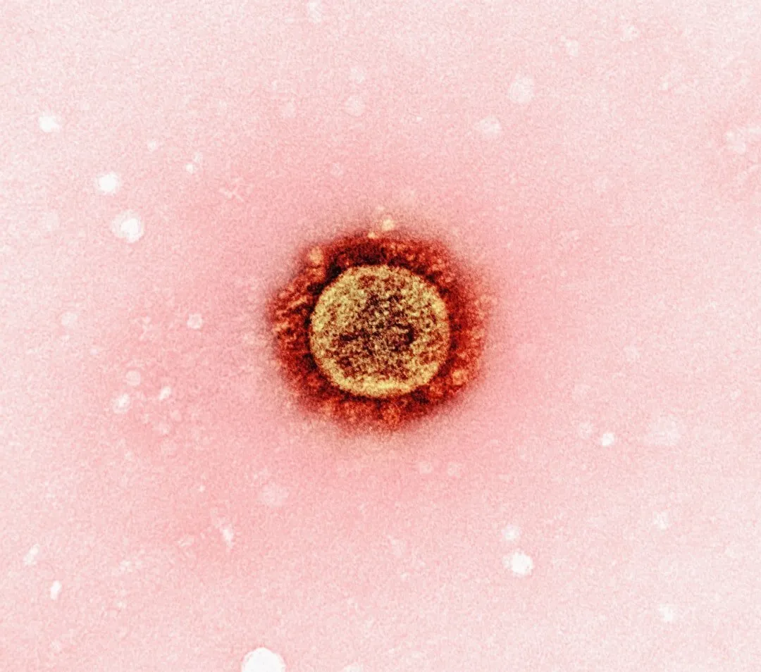 Photo celiac disease