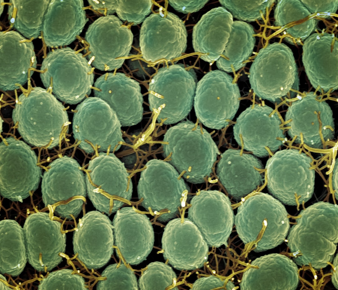 Photo sexually transmitted infections