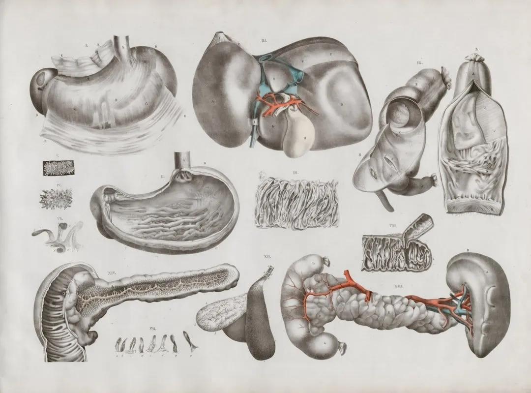 Photo hepatic disorders