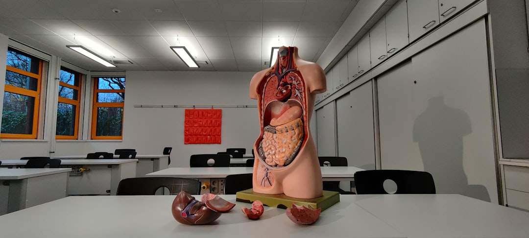 Photo stress impact on internal organs