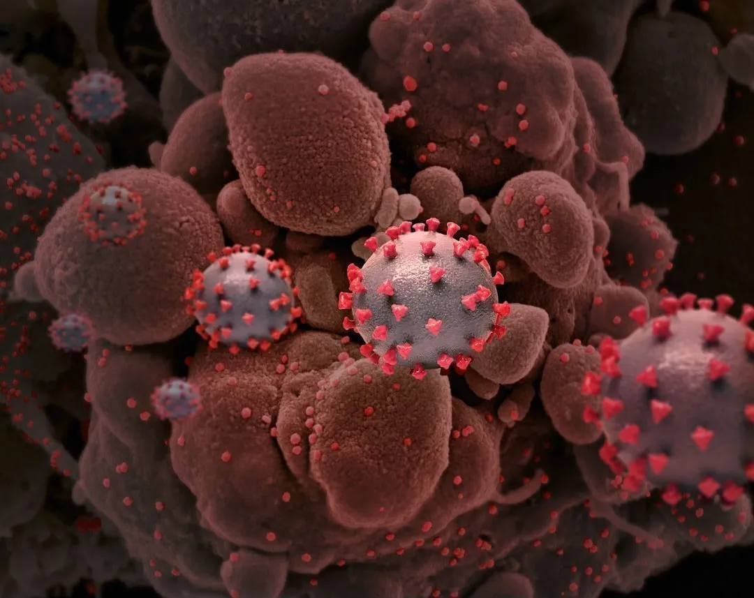 Photo immunodeficiency