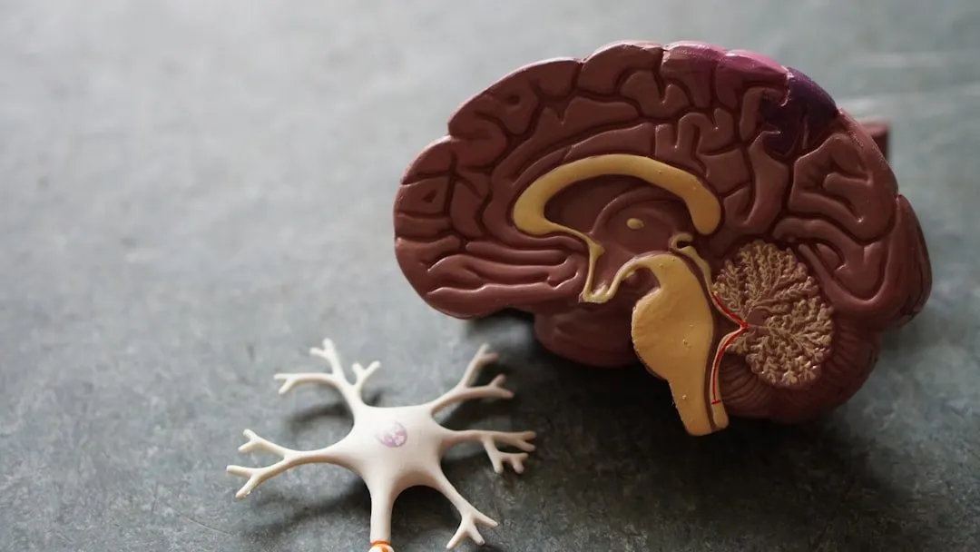 Photo neurological degenerative symptoms