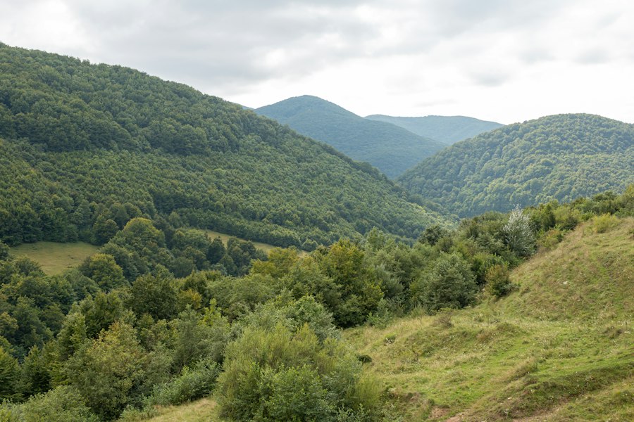 Photo motivația