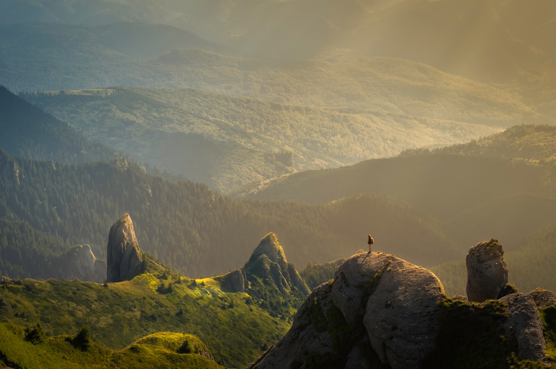Photo nature