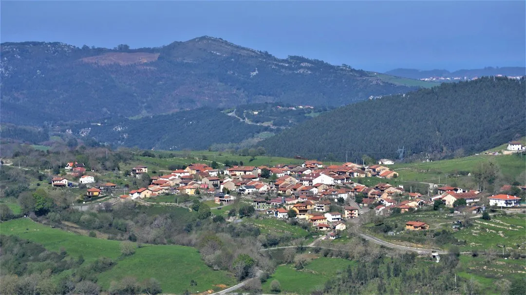 Photo obiceiuri