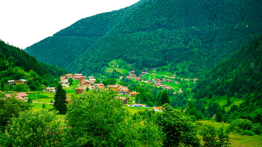 obiceiuri