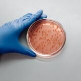 Comprimate albe identice pe un fundal albastru, folosite ca exemplu pentru pastilele placebo din studiile clinice