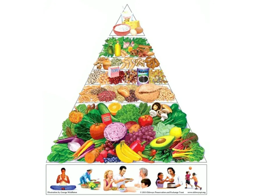 balanced diet nutrition